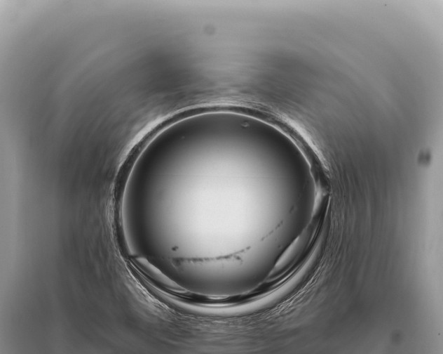 X0000096191460200801251228