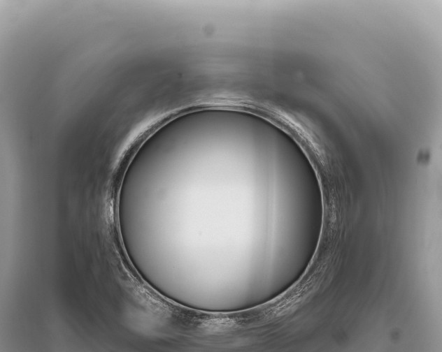 X0000096191462200801251228