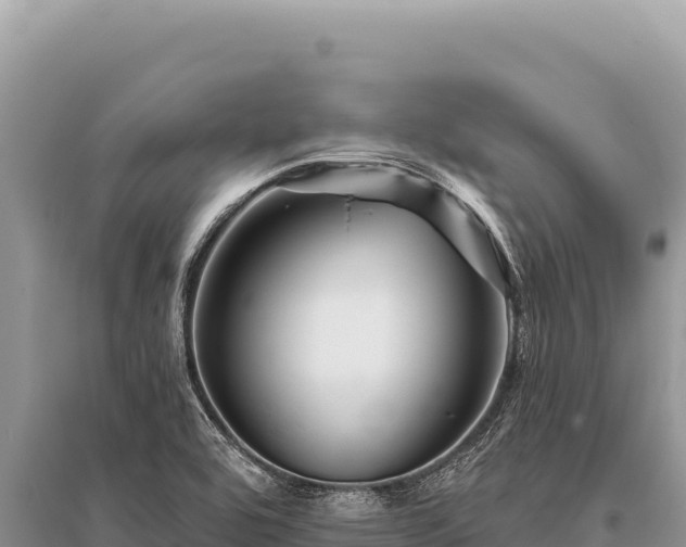 X0000096191464200801251228