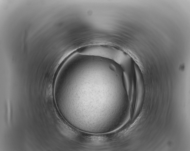 X0000096191465200801251228