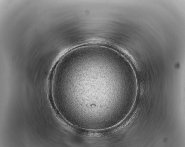 X0000096191467200801251228