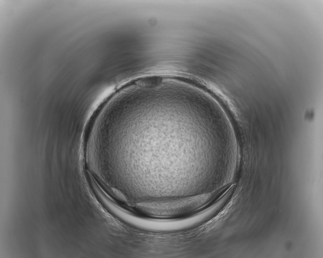 X0000096191469200801251228