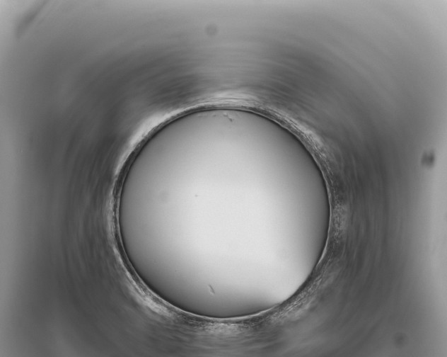X0000096191470200801251228