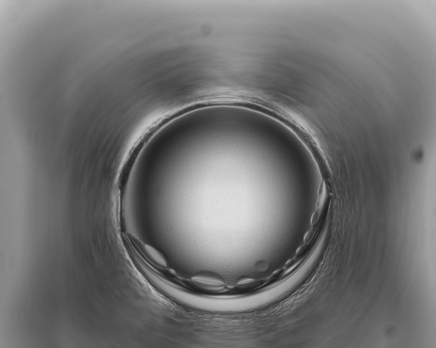 X0000096191472200801251228