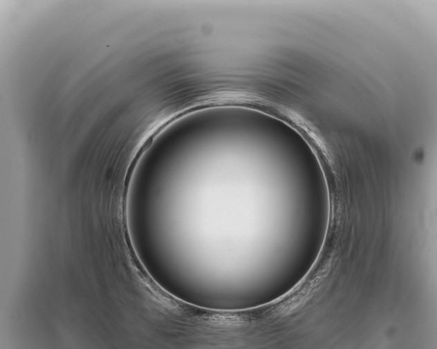 X0000096191473200801251228