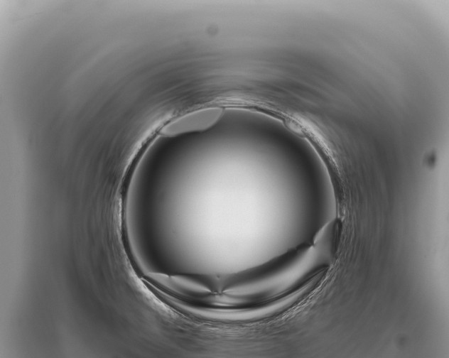 X0000096191476200801251228
