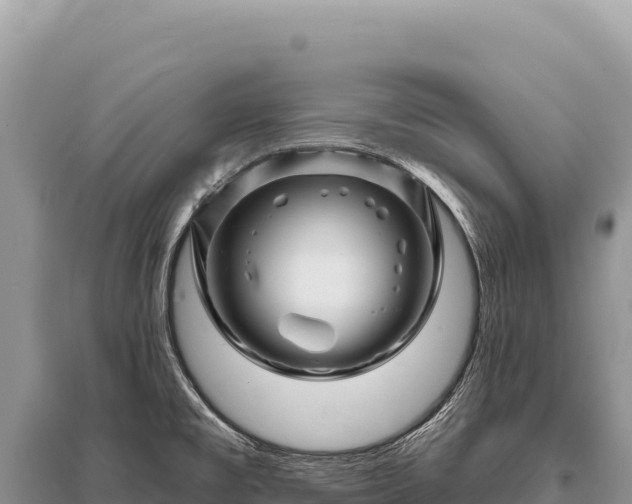 X0000096191477200801251228