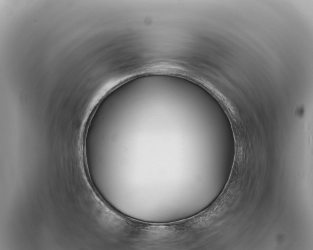 X0000096191478200801251228