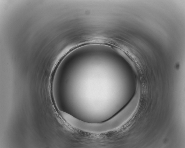 X0000096191480200801251228