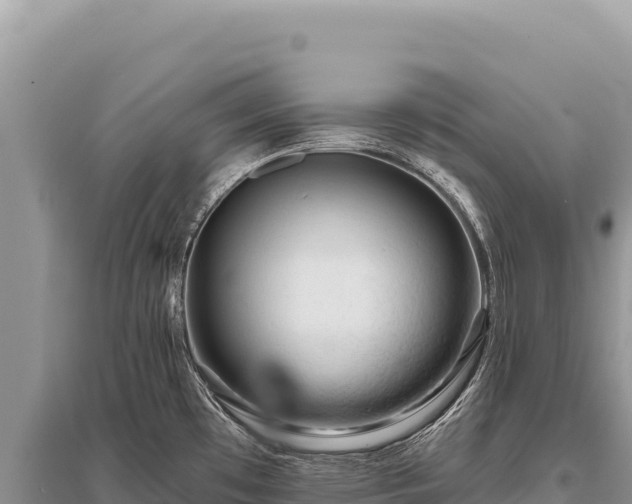X0000096191481200801251228