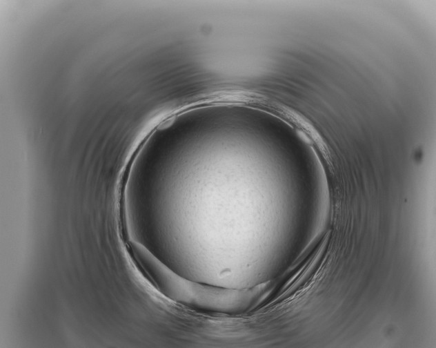 X0000096191483200801251228
