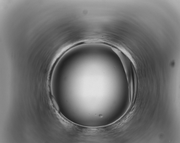 X0000096191485200801251228