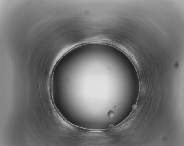 X0000096191486200801251228