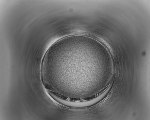 X0000096191487200801251228