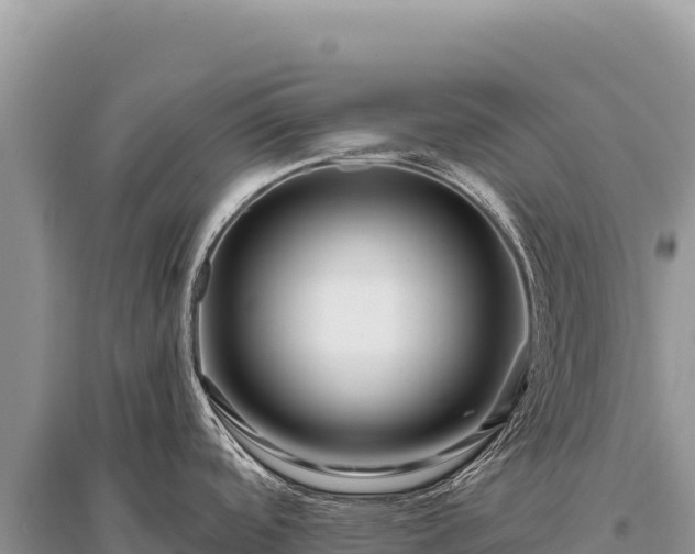 X0000096191488200801251228