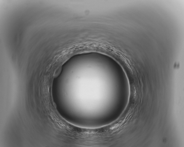 X0000096191489200801251227