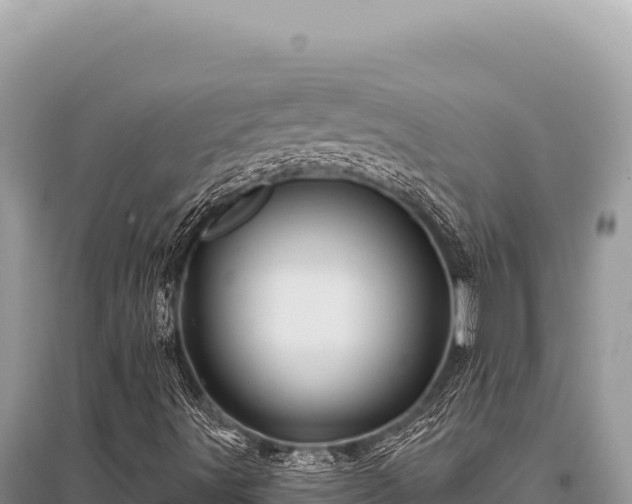 X0000096191491200801251227