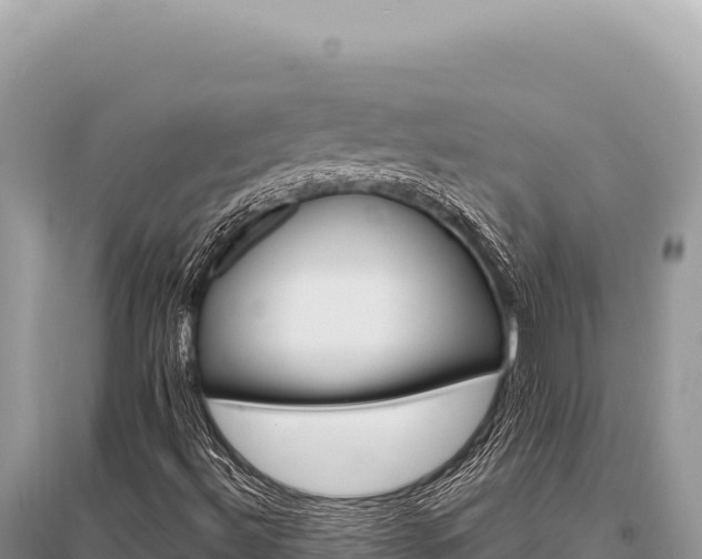 X0000096191492200801251227