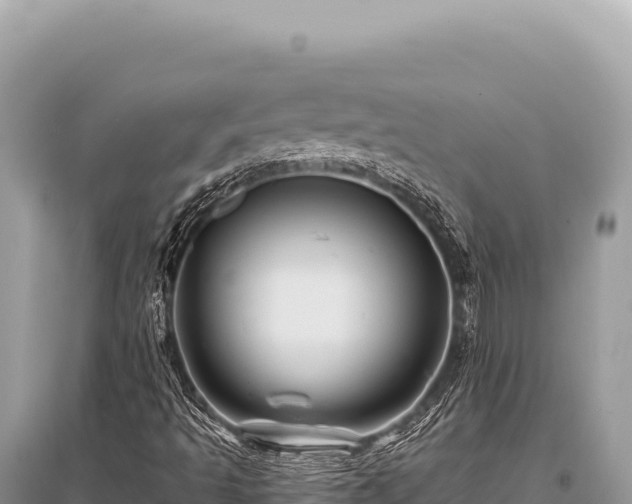X0000096191493200801251227