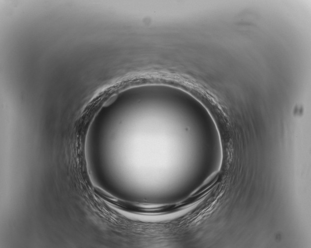 X0000096191494200801251227