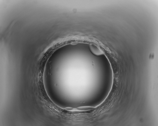 X0000096191495200801251227