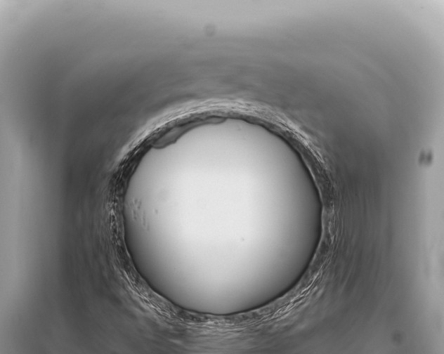 X0000096191496200801251227