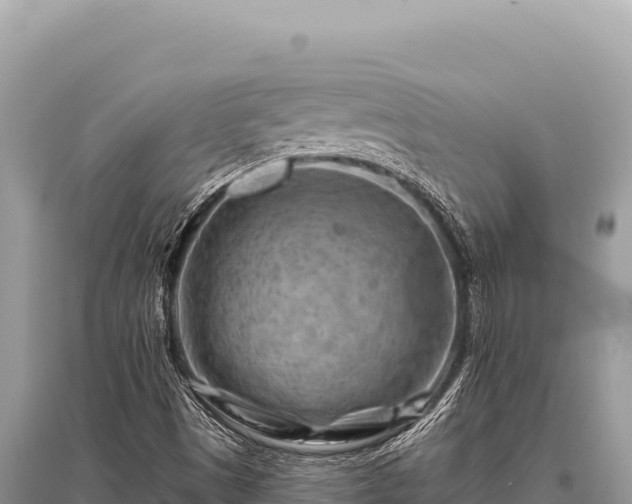 X0000096191497200801251227