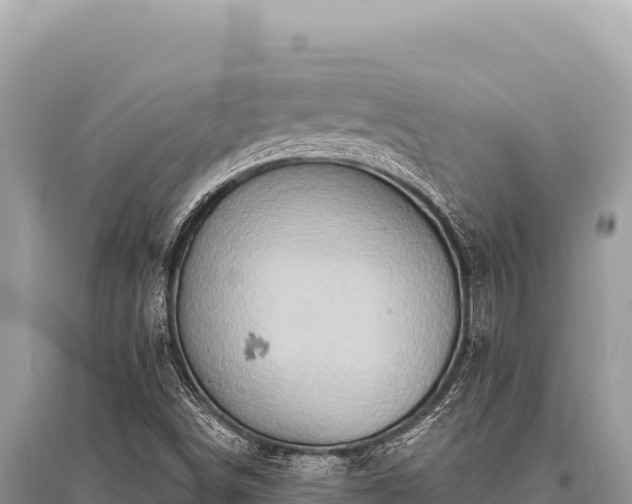 X0000096191498200801251227