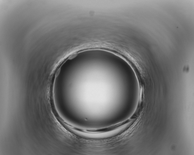 X0000096191500200801251227