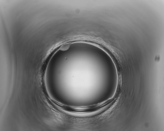 X0000096191501200801251227