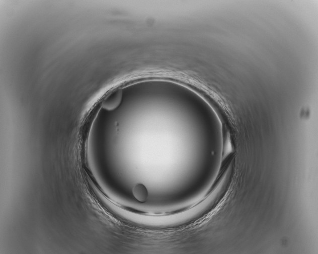 X0000096191502200801251227
