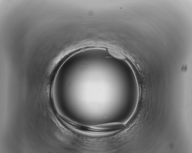 X0000096191503200801251227