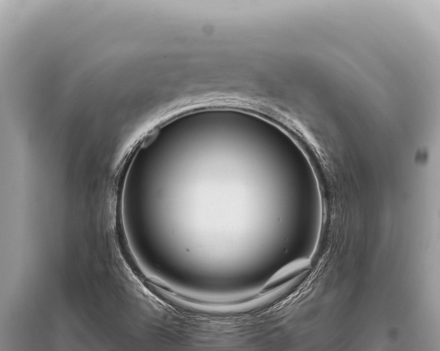 X0000096191504200801251227