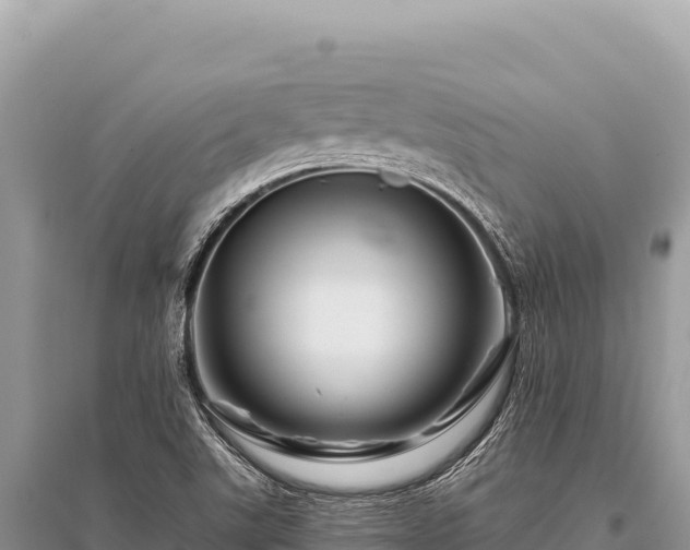 X0000096191507200801251227