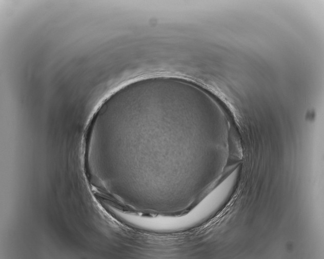 X0000096191508200801251227