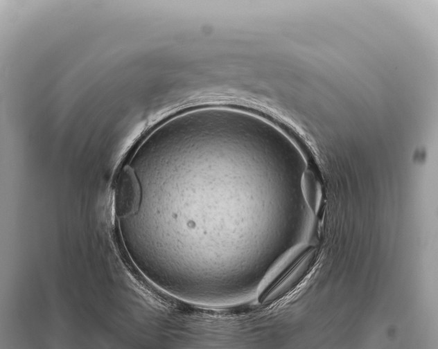 X0000096191509200801251227
