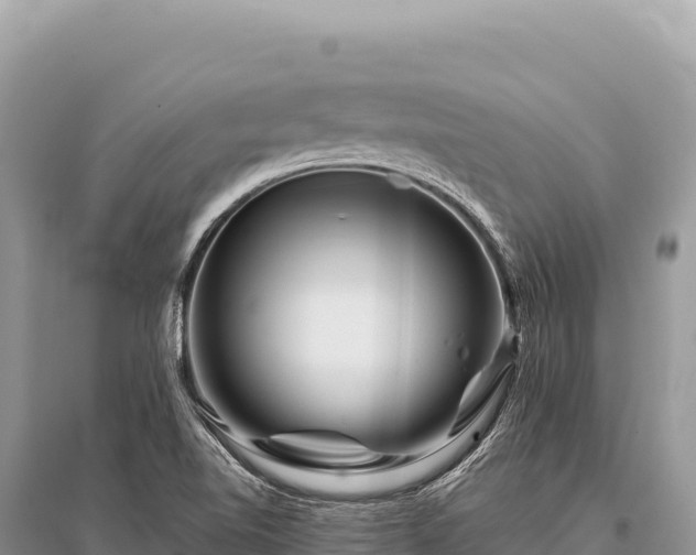 X0000096191510200801251227