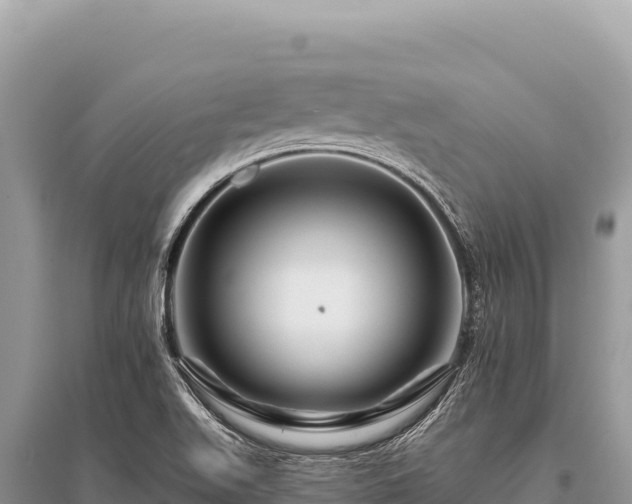 X0000096191511200801251227
