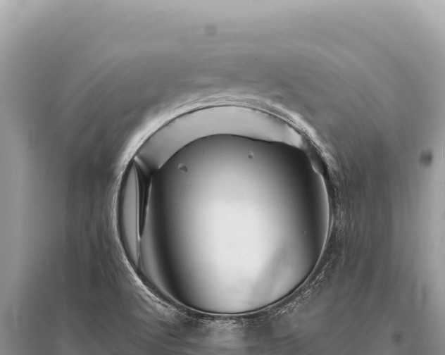 X0000096191512200801251227