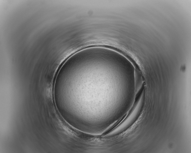 X0000096191513200801251228