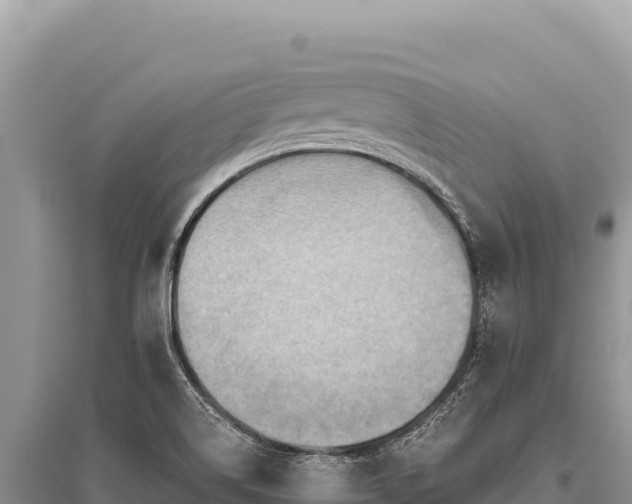 X0000096191514200801251228