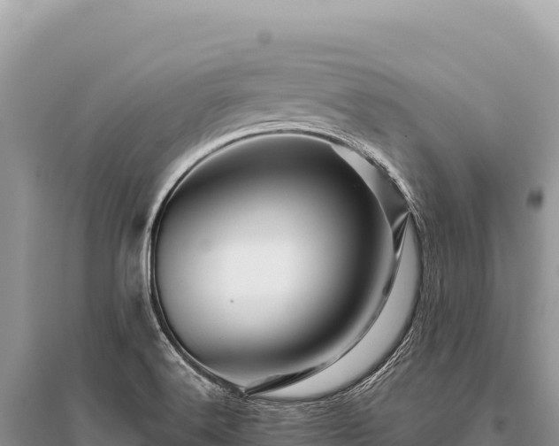 X0000096191516200801251228