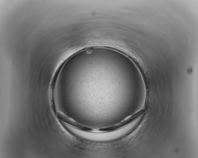 X0000096191517200801251228