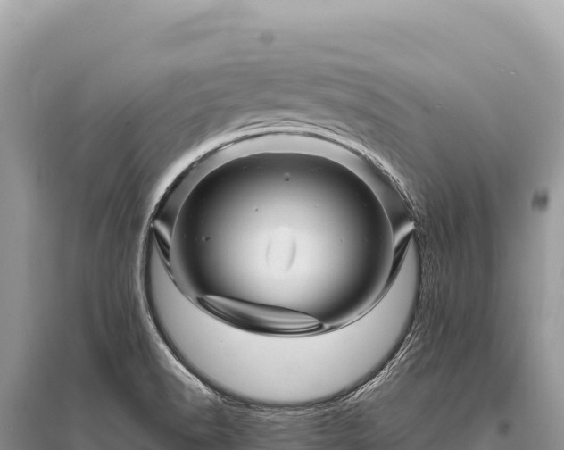 X0000096191518200801251228