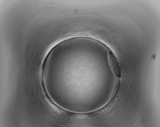 X0000096191519200801251228
