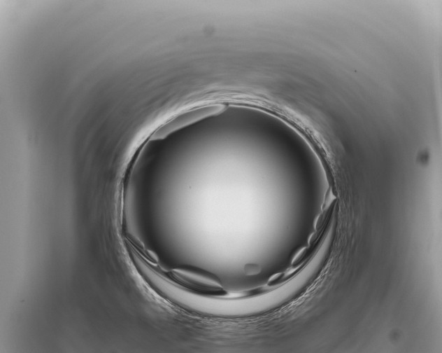 X0000096191520200801251228