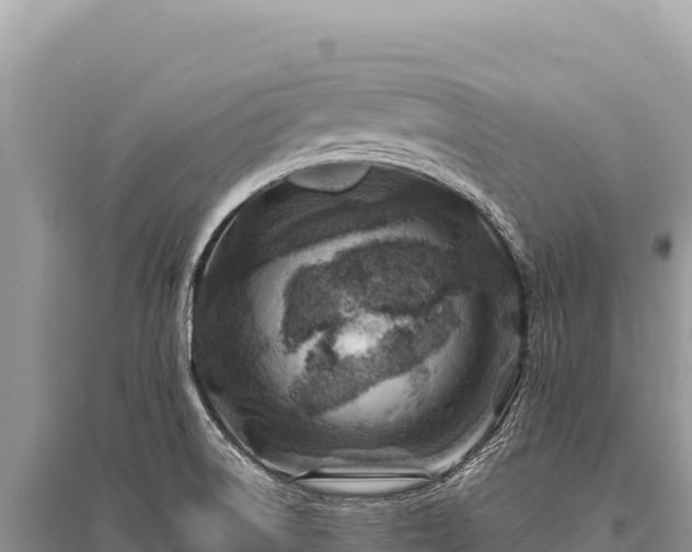 X0000096191522200801251228