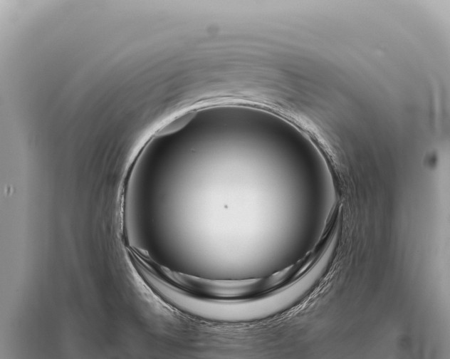 X0000096191524200801251228