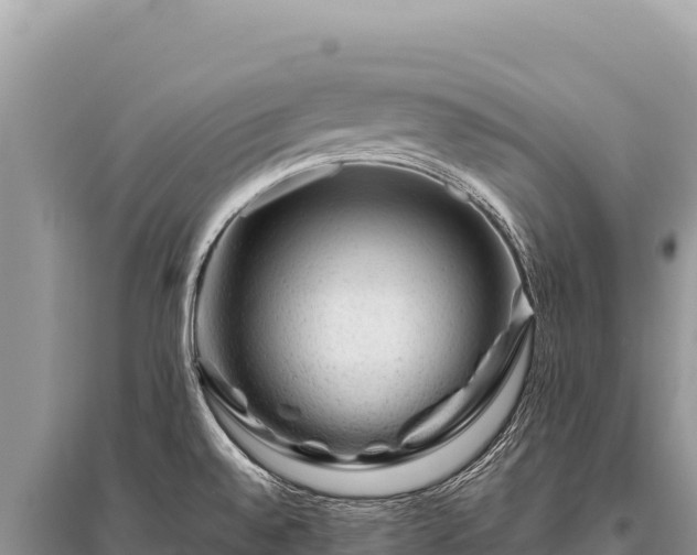 X0000096191528200801251228