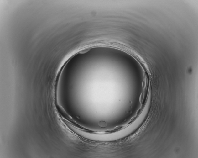 X0000096191530200801251228